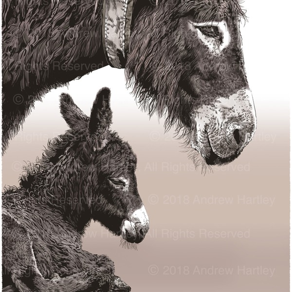 Donkey & Foal