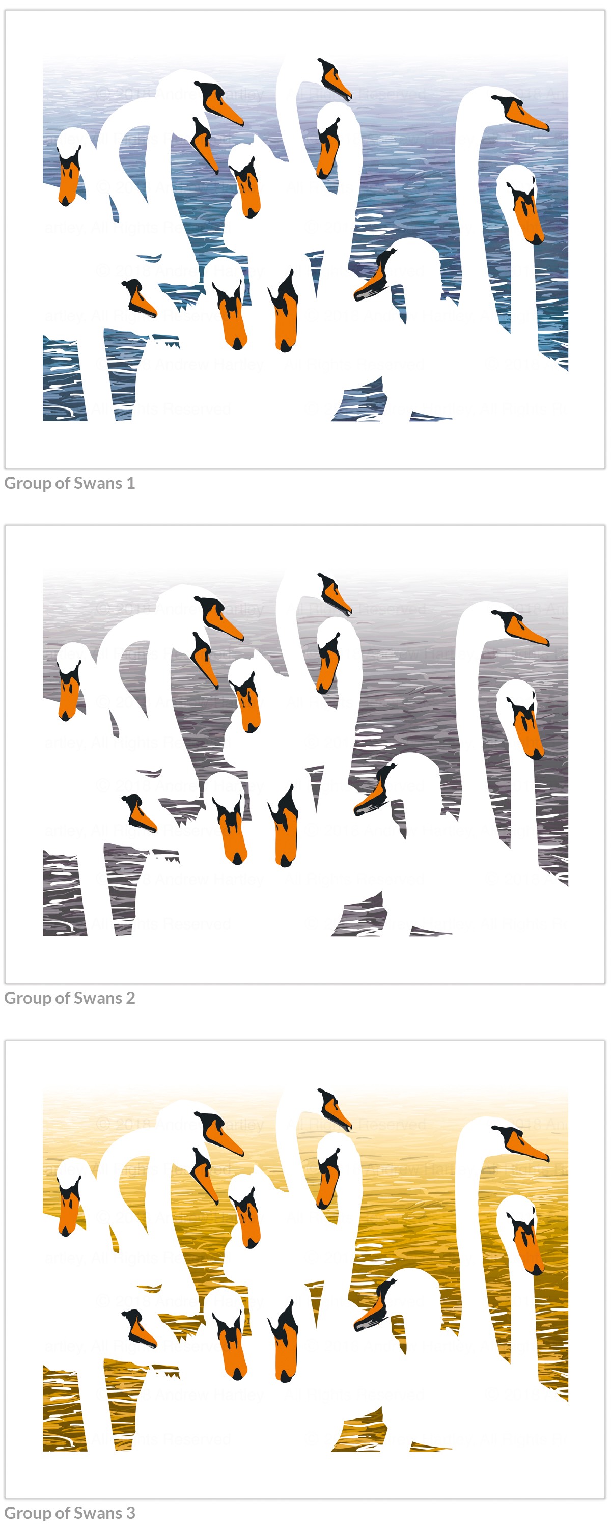 group-of-swans400x300