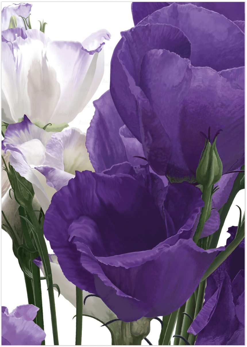 purple-flowers-main-detail2023