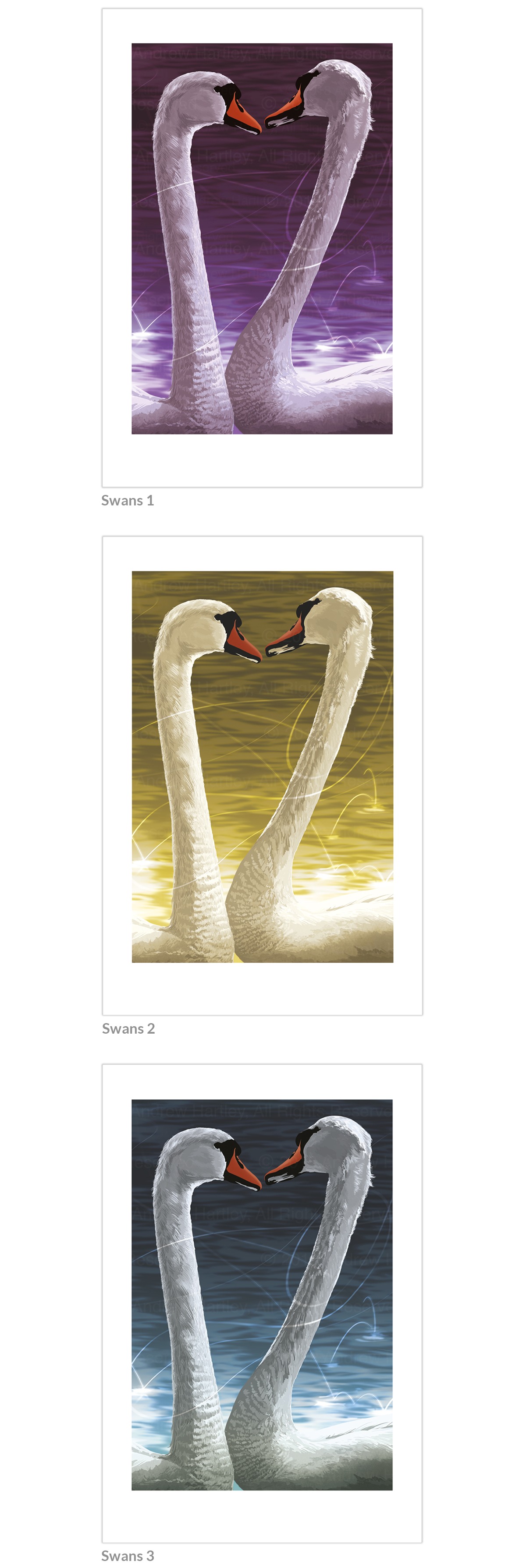 Swan Pair1200px-wide
